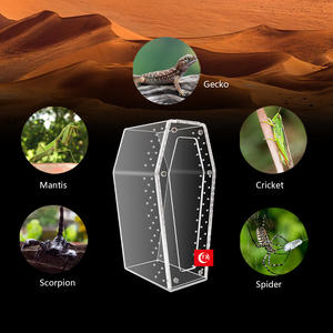 Caja de reptiles de cría pequeña de insectos de alta calidad, casa, Tarántula, araña saltadora, ataúd, recinto acrílico en forma de Halloween - Product Image 4
