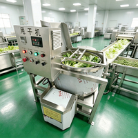 Essoreuse centrifuge automatique YouBan, déshydrateur industriel de légumes, machine à dégraisser les aliments frits