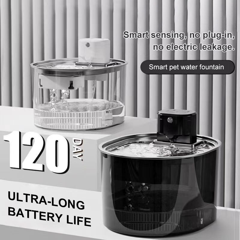 โปร่งใส