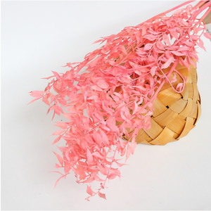 <span class=keywords><strong>Bouquet</strong></span> de fleurs séchées de haute qualité, très populaire, ruscus préservé, cadeau, matériel de bricolage, Saint-Valentin, Noël, décoration de la maison - Product Image 4