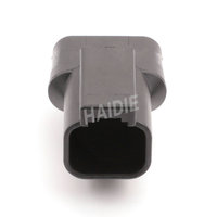 Faisceau de câblage de câbles de prise automobile mâle à 2 broches Boîtiers de prise Connecteur non scellé DT04-2P-RT01