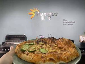 <span class=keywords><strong>Horno</strong></span> de <span class=keywords><strong>Pizza</strong></span> a <span class=keywords><strong>Gas</strong></span> para Exteriores de 13 Pulgadas, Modelo 2025 - Product Image 6