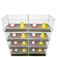 Équipement avicole commercial, cage en acier galvanisé automatisée pour cailles et poussins