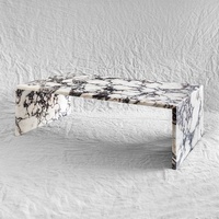 Table Basse Rectangulaire Moderne en Marbre Calacatta Viola d'Italie, Design de Style Simple, Haute Qualité pour Décoration Intérieure
