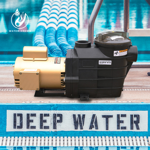 Livraison rapide <span class=keywords><strong>Pompe</strong></span> 1 CV pour piscine <span class=keywords><strong>Pompe</strong></span> de piscine <span class=keywords><strong>Hayward</strong></span> Série SP <span class=keywords><strong>Pompe</strong></span> de piscine à eau - Product Image 3