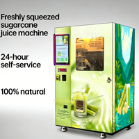 Automatisch reinigingssysteem voor verse suikerrietautomaten, OEM ODM, fruit sap express levering in winkelcentra, scholen, parken, ziekenhuizen