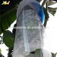 PP Non Tissé Tissu Fruits Tomate Banane Bouquet Couverture Jardin Plante Protection Couverture Pour L'hiver