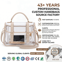 Sac à main en PVC beige et transparent, élégant et luxueux, avec boucle, sac à bandoulière, sac à main chic pour femme, OEM personnalisé