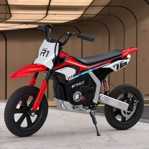 E MOTO R1 Electric Motorcycle 24V 300W Brushless Motor Off Road Kids Adult Use - Product Image 1
