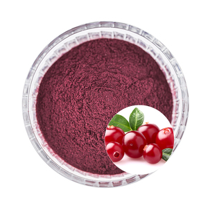 Tinh Khiết Tự Nhiên Cấp Thực Phẩm Cranberry Chiết Xuất Trái Cây Bột Chất Chống Oxy Hóa 25% Cranberry Chiết Xuất Bột Procyanidins - Product Image 1