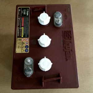 Оптовая продажа партиями по 6 вольт троянским конем принт свинцово-кислотный аккумулятор T-105 220AH свинцово-кислотная батарея заливная типа - Product Image 4