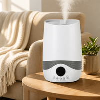Humidificateur ultrasonique à brume froide pour table, aromathérapie, usage hôtelier, capacité de 300 ml