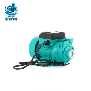 DC 24V Single Stage Self-Priming Water Pump QB60 Copper Impeller Low Pressure Type Small Solar Floor Pumps Clean Water