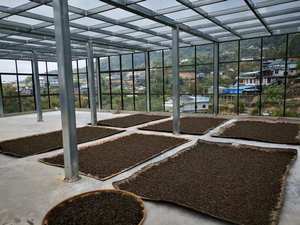 Yunnan Ancient Tree Pu'er Té maduro 357g Bingdao Cake Té comprimido certificado orgánico Calidad Premium - Product Image 6