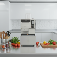 Machine à pâtes domestique entièrement automatique en acier inoxydable 304, 2-en-1, pétrisseur et presseur de pâte, formes multiples, fonctionnement à une touche, 220V