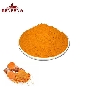 Bán buôn Chất lượng cao số lượng lớn bột nghệ nhà máy chiết xuất bột nghệ chiết xuất bột - Product Image 1