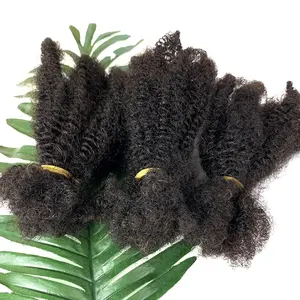 Wholesale Bulk Human Hair Afro Kinky Curly Brazilian Virgin Hair 30g 50g 100g 4B4C Kinky Coily Bulk For Locs Dreadlocs