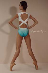 Nhà Máy Thiết Kế Mới Màu Hồng Và Màu Xanh Lá Cây Gradient Màu Cô Gái Ba Lê Leotard Cho Đào Tạo Và Hiệu Suất - Product Image 5