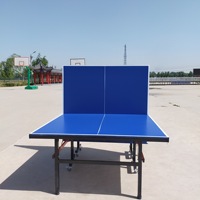 SP Table de tennis de table mobile pliante Table de ping-pong pliable durable et étanche pour l'extérieur