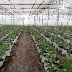 Filet d'ombrage économique en câble métallique pour serre, durable et haute résistance, avec filet d'ombrage en polyéthylène résistant aux UV pour légumes et fruits - Product Image 4