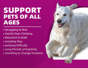 Pet Yuan Oem migliorare ossa Pet vitamine multivitaminiche anca e articolare morbido mastica cane per la cura delle articolazioni integratore - Product Image 3