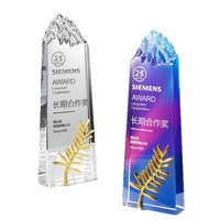 Trophée d'entreprise personnalisé en cristal, cadeau de reconnaissance pour une coopération à long terme, gravure personnalisée