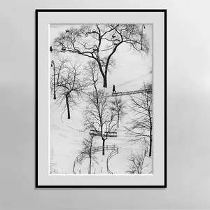Fotografia Still life ANDRE KERTESZ classico nero con carta bianca pittura su tela Poster soggiorno parete pittura