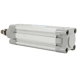DNC Series Standard Rodless Air Cylinder Magnetically Coupled Action Rodless Pneumatic Cylinder