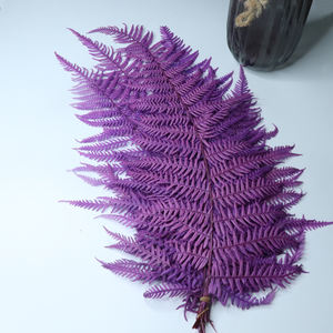 Reale Vita Eterna Fiori Grandi Foglie di Felce Fiddlehead Materiale per Tutti I Giorni Della Decorazione Garniture Decorazione - Product Image 6