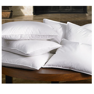 Fournisseurs chinois Fabrication en gros Oreiller Hilton Oreiller Hilton 1000g <span class=keywords><strong>50x70</strong></span> Oreiller avec bordure pour hôtel - Product Image 2