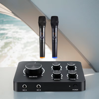 Barre de son Smart TV avec karaoké, mixeur HD, AUX, Bluetooth, microphone sans fil, connexion Type-C, lecteur DVD, source ordinateur, certifié FCC, IC, CE