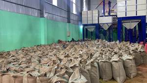 Granos de café verde Arábica tostado, fabricante de bajo precio, embalaje personalizado, café molido vietnamita - Product Image 6