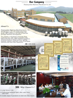 Machine automatique de remplissage et de bouchage de détergent liquide de type Lineartype, fabriquée en Chine, haute performance, bon service après-vente