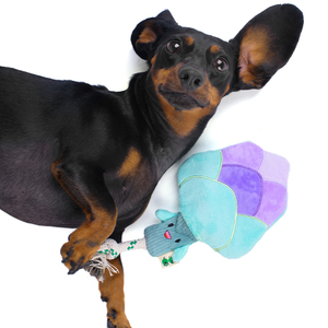 Gemi hazır çevre dostu köpek oyuncaklar hiçbir doldurma kuşkonmaz halat ker ker köpek Bite oyuncak toptan - Product Image 3