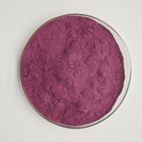 Groothandel Vriesgedroogd Rood Drakenfruit Poeder Roze Pitaya Sap Poeder Pitaya Poeder