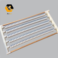 Gobelets pour apiculteur en bois/plastique, rangée simple et Double, cadre de refroidissement à cellules reine, gelée royale