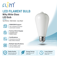 Ampoule LED à filament de verre ST19/ST58 à haut CRI90, dimmable, 8W, base E26/E27, super efficace pour la maison, l'hôtel et le commerce
