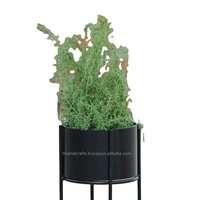 Support de pot de fleurs décoratif en fer noir thermolaqué, support pour plantes grimpantes, léger, pour usage intérieur/extérieur, écologique, pour jardin