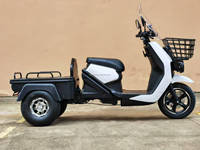 Tricycle Électrique Robuste 12 Pouces pour Adultes, Vélo Cargo 45 km/h, Moto à Trois Roues 72V30Ah 5000W, Anti-Renversement