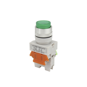 LAY37-11DNZS (Y090-11DN) LAY37 כפתור מתג (עם אור) 22mm עצמי איפוס - Product Image 3