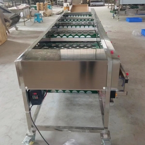 Machines de tri et de calibrage des agrumes, pommes de terre, avocats, mangues, oignons et citrons à prix d'usine - Product Image 3
