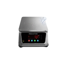 Balance de banc étanche IP68 - Utilisation en pisciculture, affichage LED, construction en acier inoxydable, OEM disponible, capacité de 3 kg à 30 kg