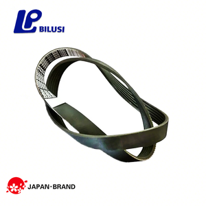 Correa Tensora Acanalada Bilusi AE8Q6C301AA AE8Q6D314AB 1843850 6PK1037 para <span class=keywords><strong>FORD</strong></span> <span class=keywords><strong>Fiesta</strong></span> VI 1.4 1.5 1.6 2008- - Product Image 1