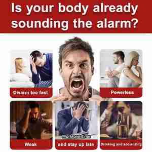 Chá de Ginseng Natural para Saúde dos Rins Masculinos, Energia e Bem-Estar, Marca Privada OEM - Product Image 4