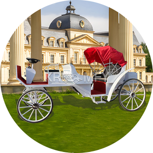 Voiture électrique royale vintage blanche, élégante, de type calèche, pour le tourisme, avec auvent, à vendre - Product Image 6