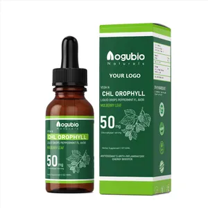 Gocce di clorofilla Private Label all'ingrosso 60ml di sciroppo d'acqua alla rinfusa gocce liquide di clorofilla vegana biologica