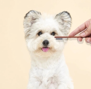 Peine para perros, removedor de pelo para mascotas, mango de madera, peine sólido para gatos, herramienta de limpieza para el cuidado de mascotas, herramientas de eliminación de garrapatas y pulgas - Product Image 3
