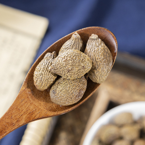 Semillas Secas Naturales de Sterculia Lychnophora de Alta Calidad Directo de Fábrica, Material Vegetal Puro, Suministro a Granel para Suplementos - Product Image 6
