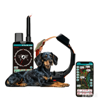 Collier pour chien innovant avec support AirTag, système de verrouillage anti-détachement + amplificateur de signal, traceur d'animaux 4G étanche IP68 longue portée