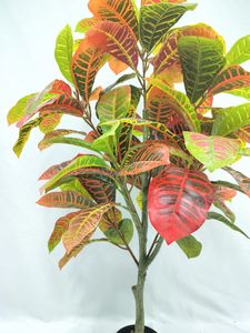 Manzara simülasyonu saksı <span class=keywords><strong>Ficus</strong></span> <span class=keywords><strong>Microcarpa</strong></span> - Product Image 4